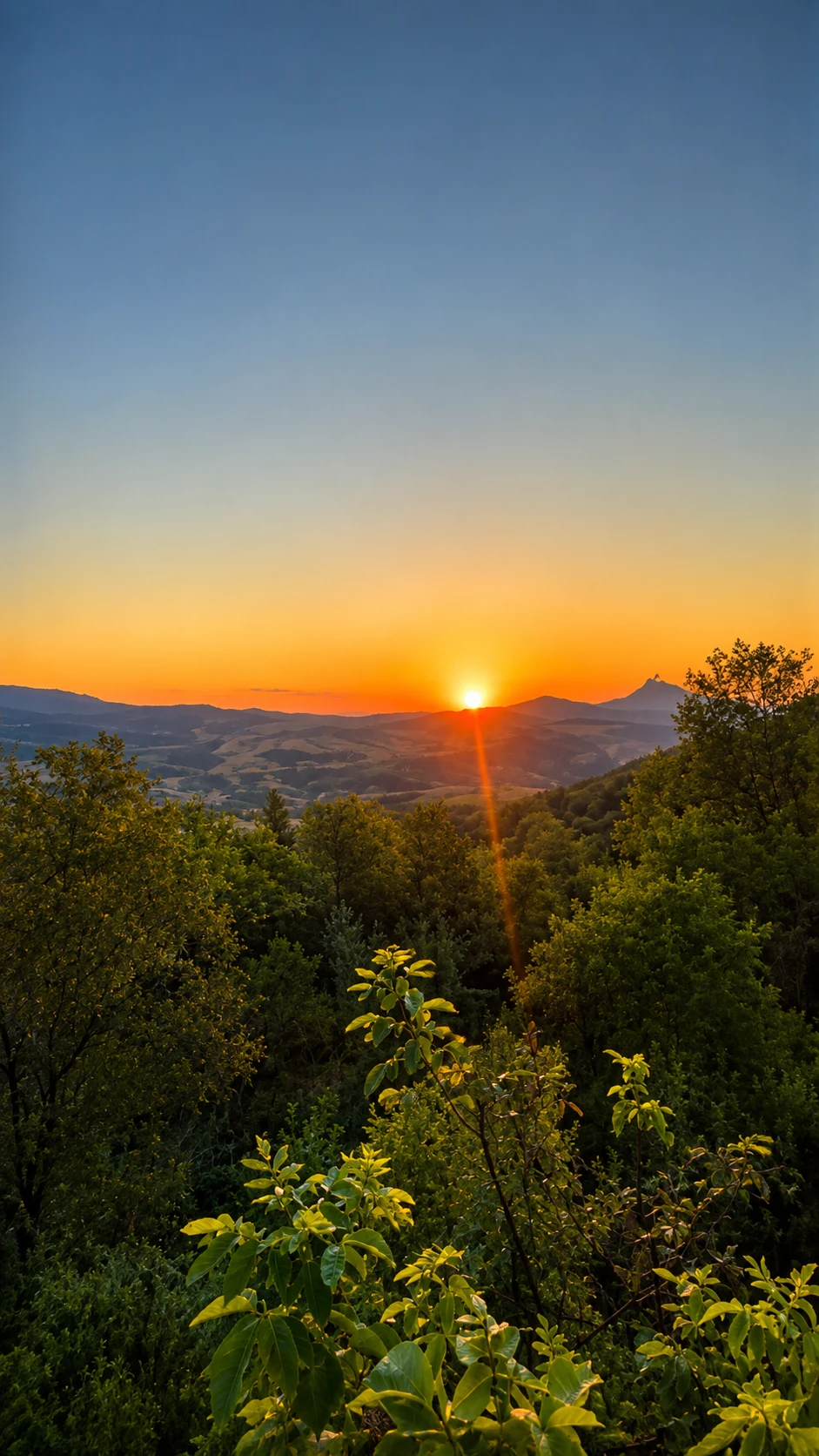 Doğada gün batımı